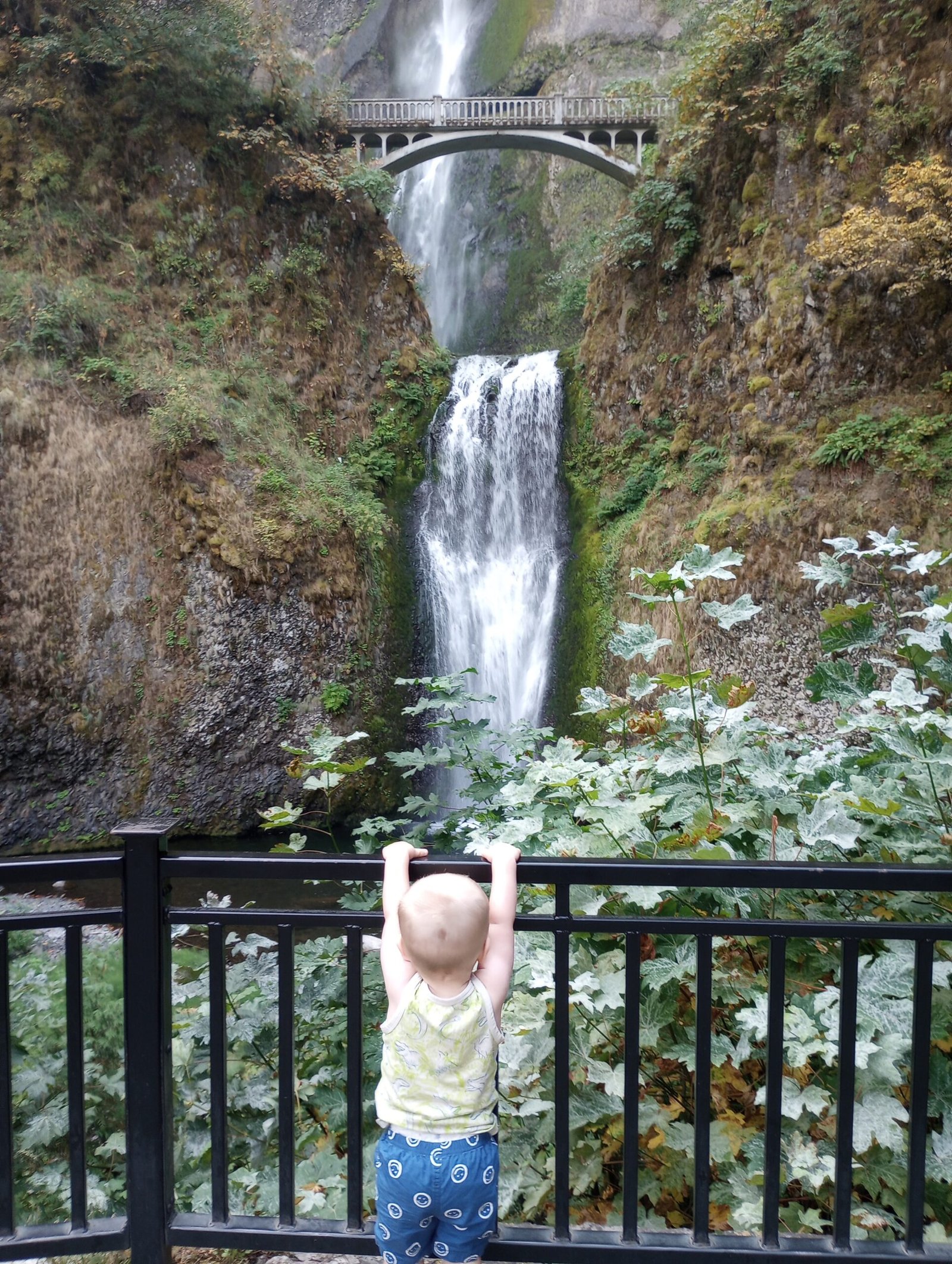 A boy looking at Multnomah Falls.